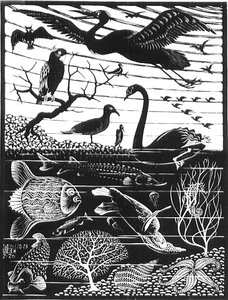 Animals — Maurits Cornelis Escher