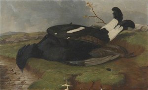 Game Study Blackcock in a Landscape