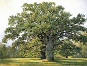 Oaks In Old Peterhof — Ivan Ivanovich Shishkin
