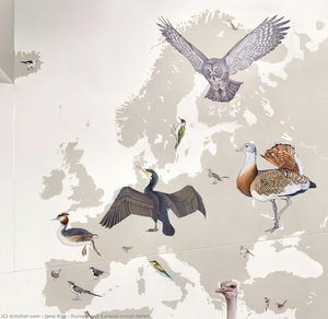 Europe And Eurasia Mural Detail — Jane Kim