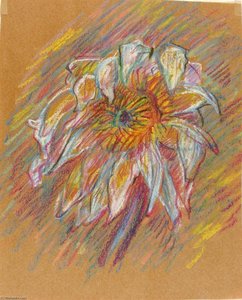 Waterlily — Bruce Moore