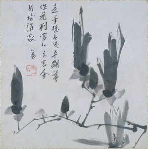 Branch Of Magnolia — Bada Shanren