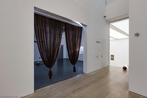 Stage Iv, Marron With Copper Red Strands — Nevin Aladağ