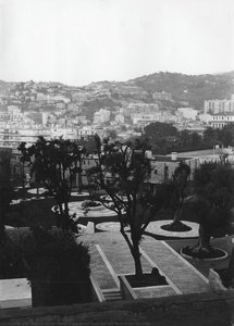View Of The Bosco From The Last Floor Of The Old Villa — Michel Marot