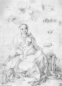 Madonna And Child On The Grassy Bank — Albrecht Dürer