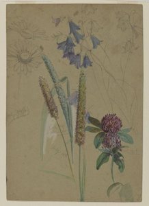 Flower Study — William Trost Richards
