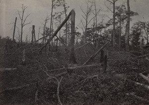 The Hell Hole, Battlefield of New Hope Church from the album Photographic Views of Sherman's Campaign