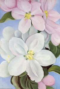 Apple Blossom — Georgia O'keeffe