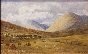 Hilly landscape