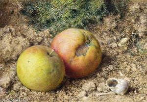 Still Life With Two Apples And A Snail Shell — William Henry Hunt