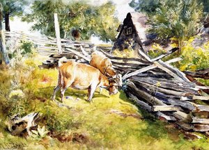 Goats — Mathias Joseph Alten
