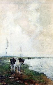 A Cow Standing By The Waterside In A Polder — Jan Weissenbruch