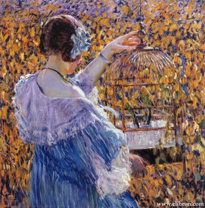 The Birdcage