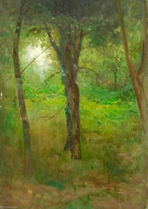 Trees And Undergrowth — Benjamin Haughton