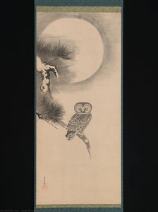Owl On A Pine Branch — Soga Nichokuan, Other
