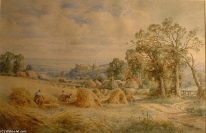 Harvesting Scene