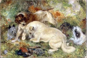 Terriers And Rabbits In A Wood — Džordž Armfild (smit)