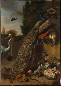 Peacocks — Melchior De Hondecoetter