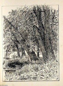 Tree Trunks — John Ottis Adams
