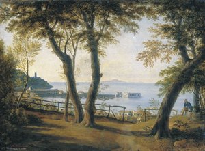 Sparrows in the Primorye