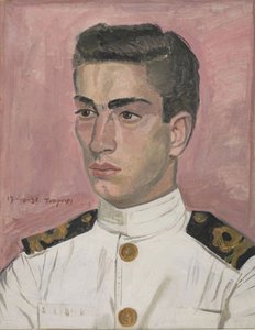 Officer Mariner On Pink Background — Yiannis Tsaroychis