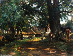 In The Shade