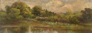 New Pond, Merstham, Surrey — William Henry Hope