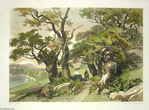 Hand-coloured Tree And Landscape — James Duffield Harding