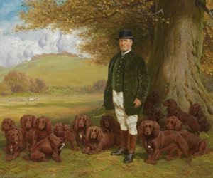 Keeper Hazell and Spaniels