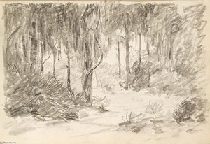 Path Through Tropical Trees — John Ottis Adams