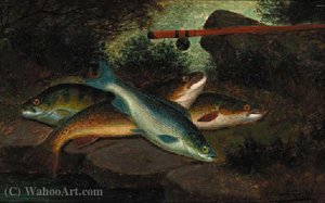 A trout, grayling and a perch