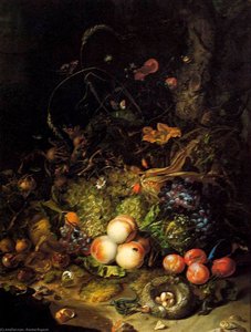 Flowers, Fruit, And Insects — Rachel Ruysch