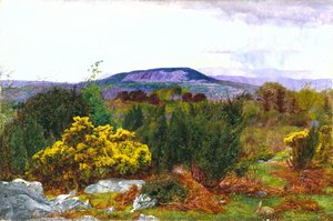 Spring, Arnside Knot And Coniston Range Of Hills From Warton Crag — Daniel Alexander Williamson