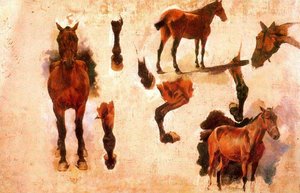 Study Of Horses — Josep Cusachs I