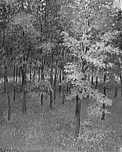 Forêt En Automne — Lothar Von Seebach