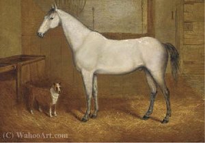 A grey with a terrier in a stable