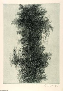 Wisteria — Gabor Peterdi