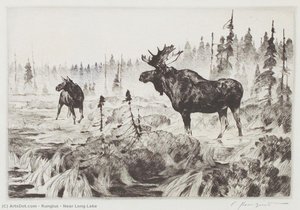 Near Long Lake
