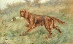 An Irish Setter — Johannes Frederik Hulk