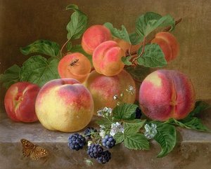 Still Life Of Peaches — Henriette Ronner Knip