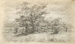 Tree And Fence — John Ottis Adams