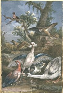 Eight Birds In A Landscape — Jean-baptiste Oudry