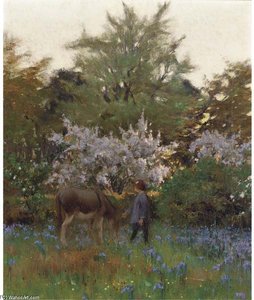 Evening Light — Harold Harvey