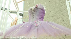 Costume For Lilac Fairy In Ballet — Soliko Virsaladze