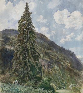 The Old Spruce In Bad Gastein — Rudolf Von Alt