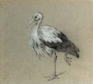 A Stork Standing On One Leg — Jean-baptiste Oudry