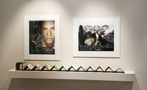 Botanical Prints with Book