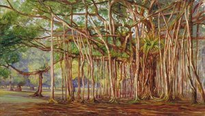 Banyan Trees at Buitenzorg, Java