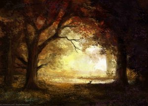 Bosque al Amanecer