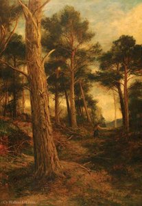 Scotch Firs, Rothiemurchus — Džon Makvriter